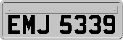 EMJ5339