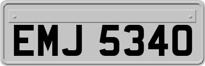 EMJ5340