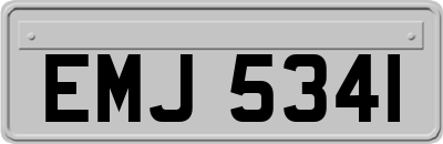EMJ5341