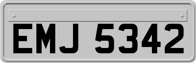EMJ5342