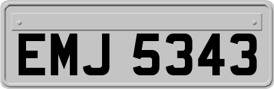 EMJ5343