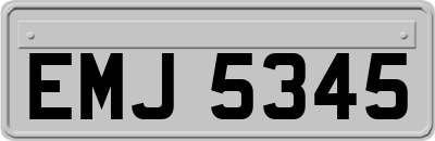 EMJ5345