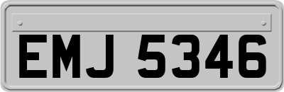 EMJ5346