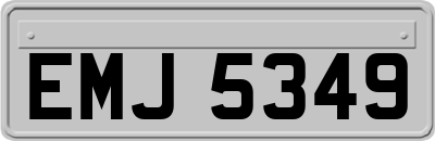 EMJ5349