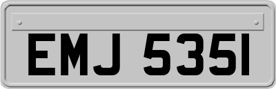 EMJ5351