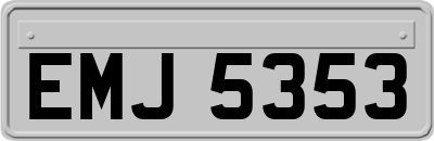 EMJ5353