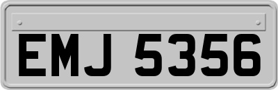 EMJ5356