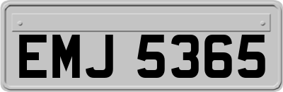 EMJ5365