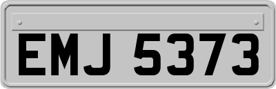 EMJ5373