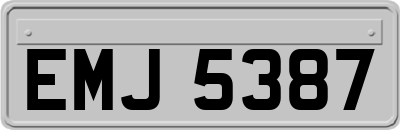 EMJ5387