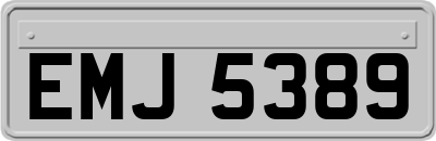 EMJ5389