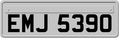 EMJ5390