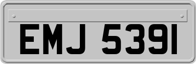 EMJ5391