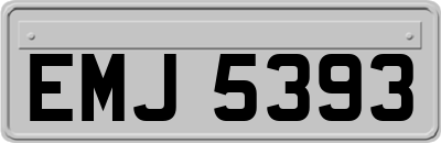 EMJ5393