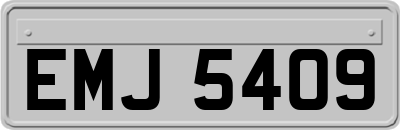 EMJ5409