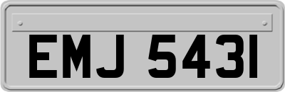 EMJ5431