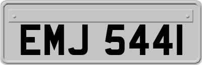 EMJ5441