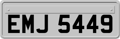 EMJ5449