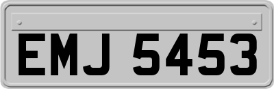 EMJ5453