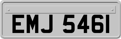 EMJ5461