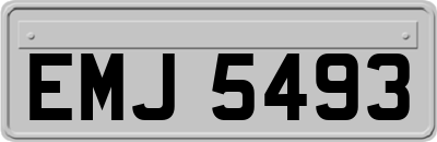 EMJ5493