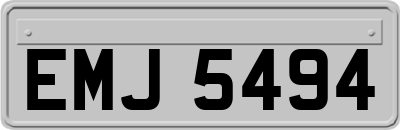 EMJ5494