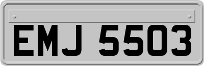 EMJ5503