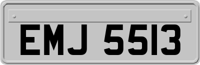 EMJ5513