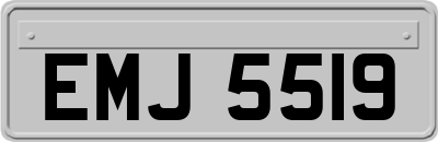 EMJ5519