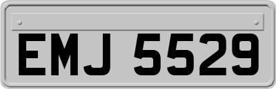 EMJ5529