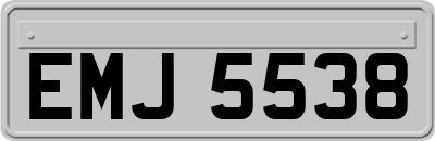 EMJ5538