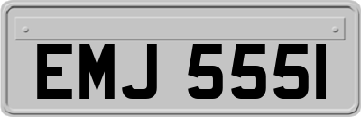 EMJ5551