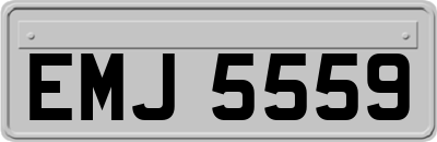 EMJ5559