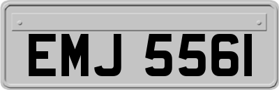 EMJ5561