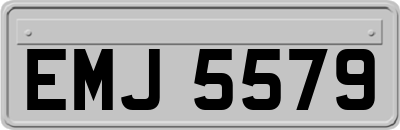EMJ5579