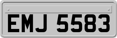 EMJ5583