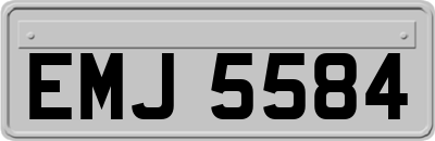 EMJ5584