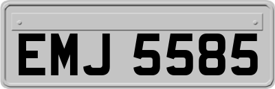 EMJ5585
