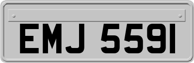 EMJ5591