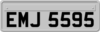 EMJ5595