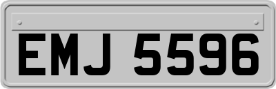 EMJ5596