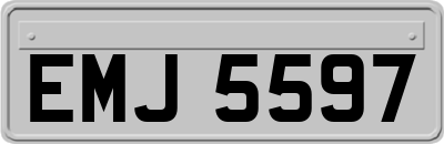 EMJ5597