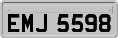 EMJ5598