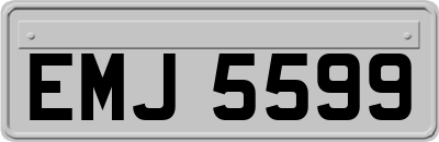 EMJ5599
