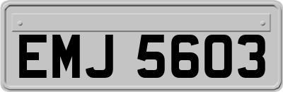 EMJ5603