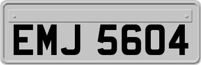 EMJ5604