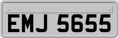 EMJ5655