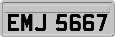 EMJ5667