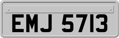 EMJ5713