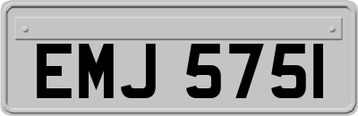 EMJ5751